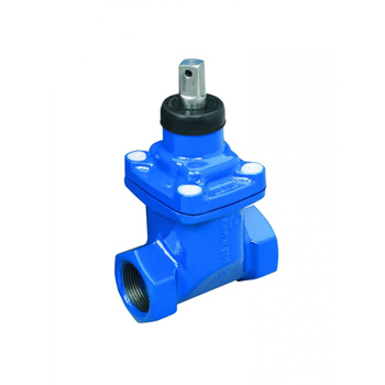 Závitové šupátko GW 1 1/4" DN32 NORSON 1-114 888 032 10
